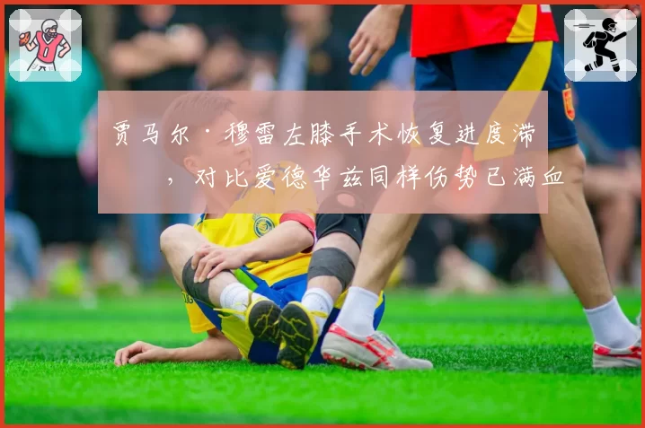 贾马尔·穆雷左膝手术恢复进度滞后，对比爱德华兹同样伤势已满血回归复出时间差惊人