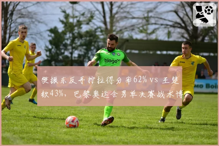樊振东反手拧拉得分率62% vs 王楚钦43%，巴黎奥运会男单决赛战术博弈关键点