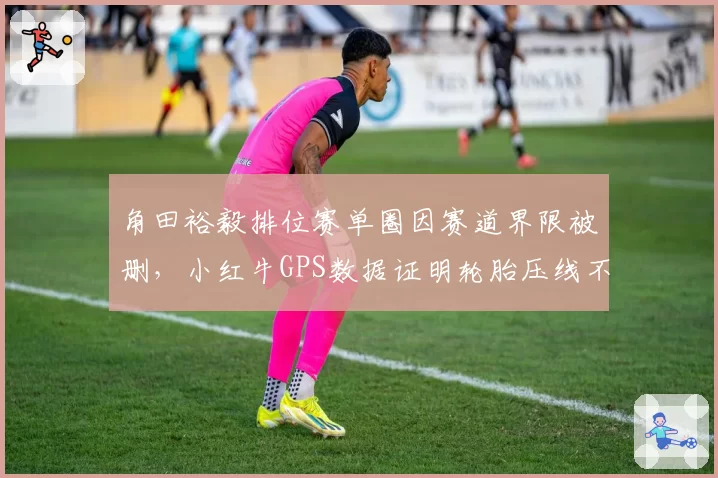 角田裕毅排位赛单圈因赛道界限被删，小红牛GPS数据证明轮胎压线不足
